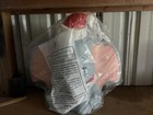 New Dumbo The Elephant Disney New Blow Mold 22 Inch Blowmold Gemmy
