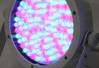 Chauvet Slimpar 56 Led In White  Bundle Of 2 - 03030669
