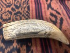   bark Veronica  Fine Details  Historic Sperm Whale Tooth Scrimshaw Reproduction