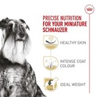 Royal Canin Breed Health Nutrition Mini Schnauzer Adult Dry Dog Food 10 Lb