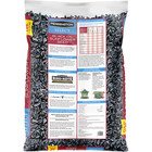 Select Black Oil Sunflower Seed Wild Bird Dry Feed  40 Lb  Bag