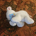 Webkinz Bunny Plush With Code Attached Excellent Condition No Flaws