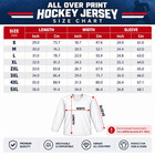 Rozanov   Hollander Hockey Jersey  Heated Rivalry Inspired Shirt  Ilya Rozanov