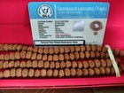 9 Mukhi Rudraksha Pendent With 109 Beads 9 Mukhi Rudraksha Mala Goddess Durga