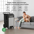 Waykar 250 Pints Commercial Dehumidifier With Pump For Large Spaces  Basements