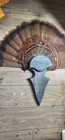 Turkey Fan Arrowhead Mounting Plaque Midnight Storm