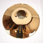 Yamaha Yhr-567gdb Full Double French Horn  007717 