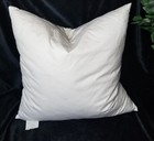 Duck Feather   Down Pillow Insert  Form Throw Couch Decorative  24 X 24