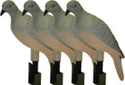 Mojo Elite Series Dove Decoy For Dove Hunting -  4pcs