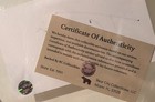 Travis Scott Signed Autograph 3x5 Index Card Authentic Original Signature   Coa