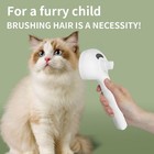 3in1 Pet Steam Brush Dog Hair Brush Cat Hair Brush Electric Steam Spray