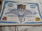 Florida Panthers Holdings  Inc  - 1997 Dated Ice Hockey Team Stock Certificate -