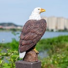 Bald Eagle Statue Outdoor - Large American Eagle Figurine For Garden  Yard      
