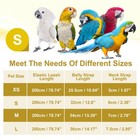 Bird Harness Leash  Pet Parrot Bird Harness And Leash With Cute Wing  gray  S 