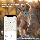 Leather Airtag Dog Collar  Water-resistant  Reflective  Adjustable  Built-in