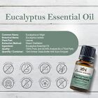 Organic Eucalyptus Essential Oil Usda Certified 100  Pure Therapeutic Grade