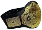 Wwe Heavyweight Championship Title Toy Belt