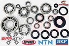 Raptor 660 Crank Transmission Bearings Complete Bottom End Motor Bearing Kit Set