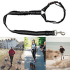 Car Safety Travel Adjustable Harness Lead Restraint Cat Pet Dog Seat Belt Clips