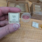 Vtg Ward Natural Science Prepared Microscope Slides Lot Of 24 W  Box Biology