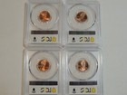 2009 Philadelphia  Lincoln Cent Pcgs Ms65rd Penny Gold Shield 4 Coin Set