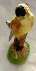 Ceramic Gold Finch Statue Figurine  Very Detailed 10006 Very Old Vintage