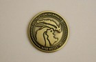 Blizzcon 2019 Destruction Incarcernate Deathwing Blizzard Arcade Coin Rare 
