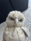 Handcrafted Burrowing Owl No 5203 Lifelike Owlet Plush Toy 10 Inch By Hansa