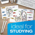 Index Cards  3 X 5 Inches  White  Lined On Front  Blank On Back 500 Count 5 Pack