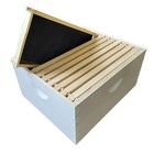 10-frame Completed  Deep 9 5 8-inch Box With Frames And Foundation
