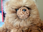 Handmade Baby Alpaca Fur Teddy Bear - Ultra Soft  21    Plush Toy