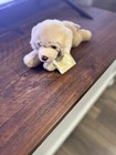 Webkinz Signature Golden Retriever Plush Wks1006 With Unused Code