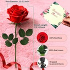 Leebean Single Forever Roses Luxury Gift For Women men  Rose  Red