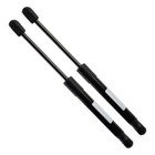 2pcs Rear Trunk Lid Tailgate Lift Support Shock Strut Fit 08-20 Dodge Challenger
