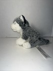 Fao Schwarz Dog Plush Husky Puppy Frosted Grey Wolf Sitting 9    Toy Pet Lovey