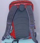 Patagonia Black Hole Pack 25l Backpack Glossy Red 49295