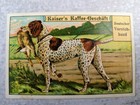 German Pointer Hunting Dog Victorian Trade Card Kaiser s Coffee Shop