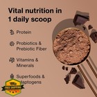 Shakeology Vanilla Plant Protein Powder  0g Sugar  Gluten-free  30 Servings