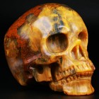 3 5  New Pietersite Carved Crystal Skull  Realistic  Crystal Healing