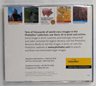 Photodisc Background Series 19  The Essentials Cd Royalty Free Stock Images