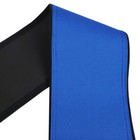 Blue Inground Swimming Pool Rail And Ladder Grip  various Lengths 