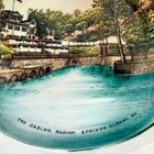 Albany Casino Radium Springs Ga Georgia Antique Souvenir Trinket Dish Plate