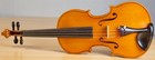 Old 4 4 Violin Geige Viola Cello Bratsche Fiddle Labeled Rocca Enrico Nr  484