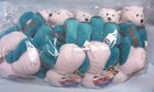 Coin Bears Lot 10 Ltd Treasures Plush 9  Collectible Bears   1 Delaware -   a1 