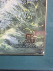Daniel Wang Hawaiian Sunset Palm Trees Waves Framed Painting