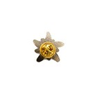 Pin Edelweiss Flower Edelweiss Air Airlines Logo  1 Inch  Golden 