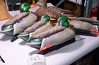 5 -  Avian X Topflight Mallards  Drake And Hen Duck Decoy Hunting  Gear