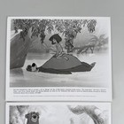 Disney The Jungle Book Vintage Movie Promo Photos 8 x10  Lot Of 2 Baloo Mowgli