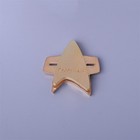 Voyager Communicator Starfleet Badge Picard Pin Captain Kirk Pike Pin Brooch