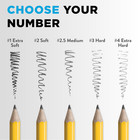 Ticonderoga Number 2 Pencils 12 Count Premium Wood Latex Free Eraser Yellow